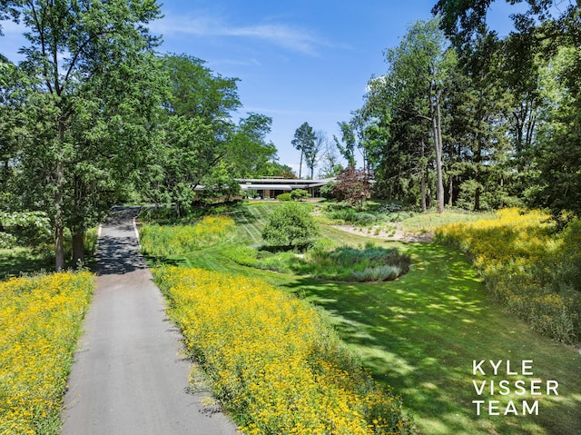 130 Robinwood Ave SE, Grand Rapids, MI 49506 - view of asphalt road