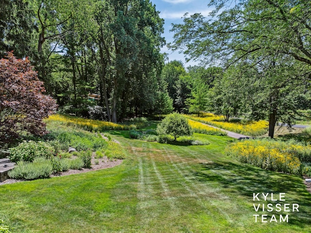 130 Robinwood Ave SE, Grand Rapids, MI 49506 - view of green lawn