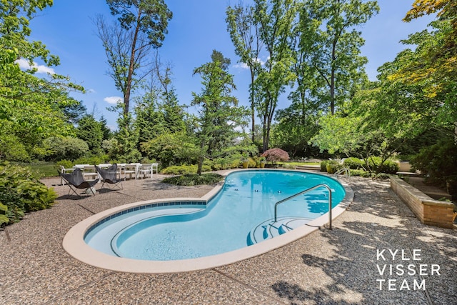 130 Robinwood Ave SE, Grand Rapids, MI 49506 - swimming pool featuring a patio and view of wooded area