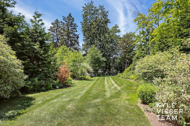 130 Robinwood Ave SE, Grand Rapids, MI 49506 - view of grassy yard