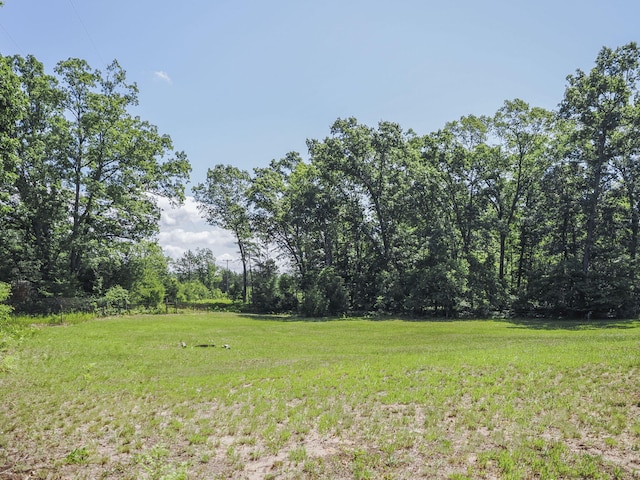 626 Skocelas Rd N, Manistee, MI 49660 - view of green lawn