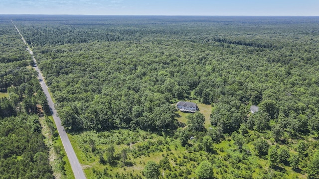626 Skocelas Rd N, Manistee, MI 49660 - bird's eye view of a forest