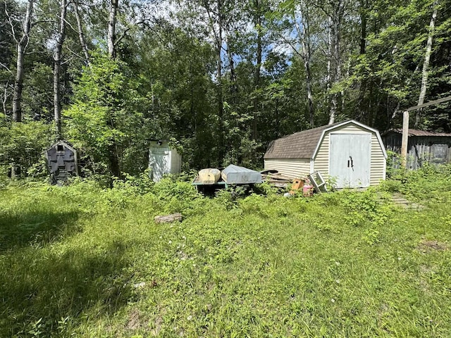 11235 W Rosebush Rd, Weidman, MI 48893 - photo 5