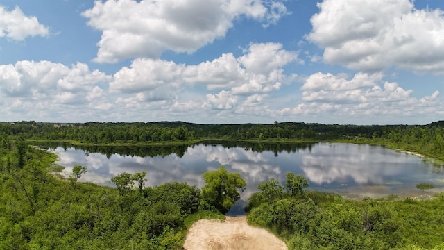 11235 W Rosebush Rd, Weidman, MI 48893 - photo 12