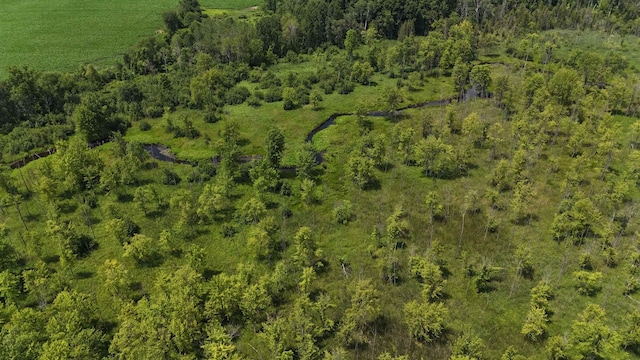 11235 W Rosebush Rd, Weidman, MI 48893 - photo 2