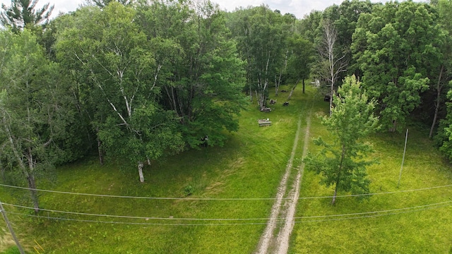 11235 W Rosebush Rd, Weidman, MI 48893 - photo 17
