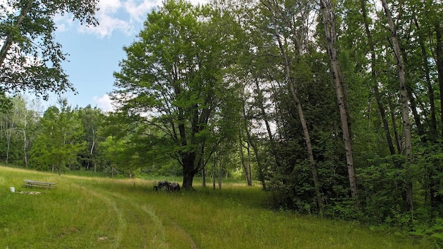 11235 W Rosebush Rd, Weidman, MI 48893 - photo 16