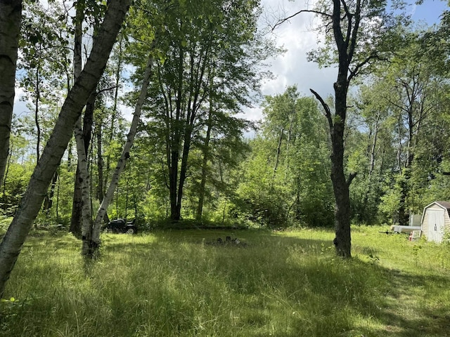 11235 W Rosebush Rd, Weidman, MI 48893 - photo 8