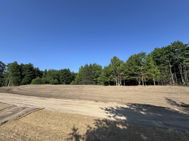 LOT6 E Bellinger Rd, Cedar, MI 49621 - photo 1
