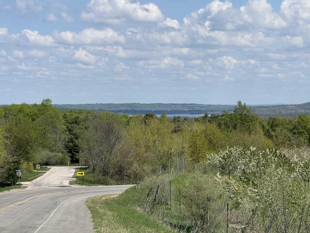 LOT6 E Bellinger Rd, Cedar, MI 49621 - photo 11