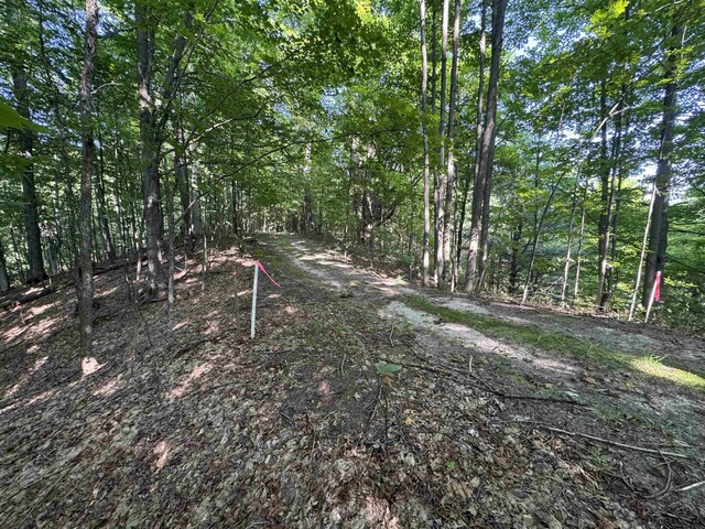 LOT6 E Bellinger Rd, Cedar, MI 49621 - photo 13