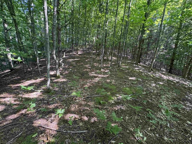 LOT6 E Bellinger Rd, Cedar, MI 49621 - photo 17