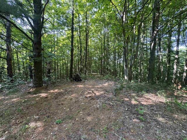 LOT6 E Bellinger Rd, Cedar, MI 49621 - photo 18