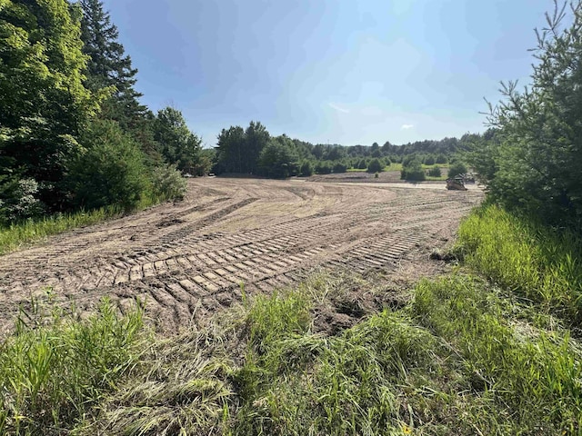 LOT6 E Bellinger Rd, Cedar, MI 49621 - photo 2