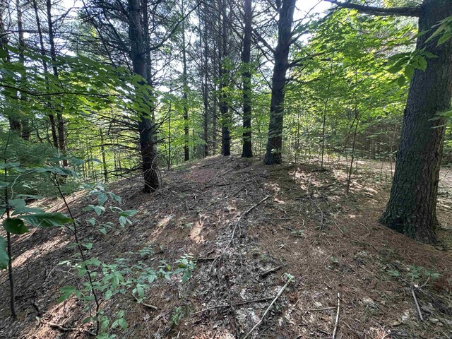 LOT6 E Bellinger Rd, Cedar, MI 49621 - photo 26