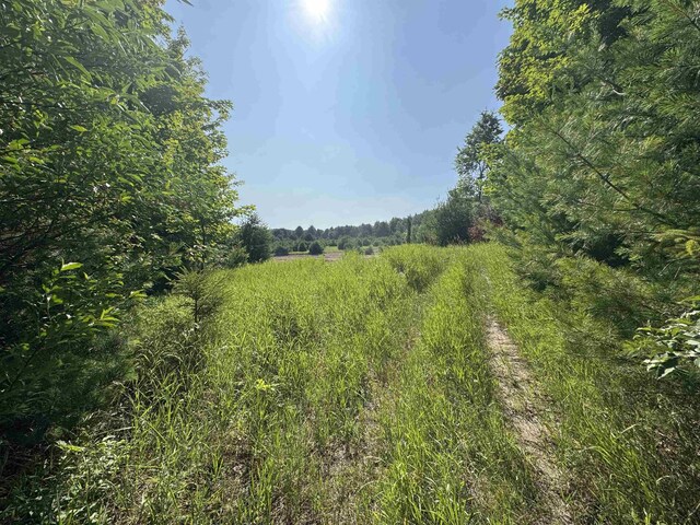 LOT6 E Bellinger Rd, Cedar, MI 49621 - photo 28