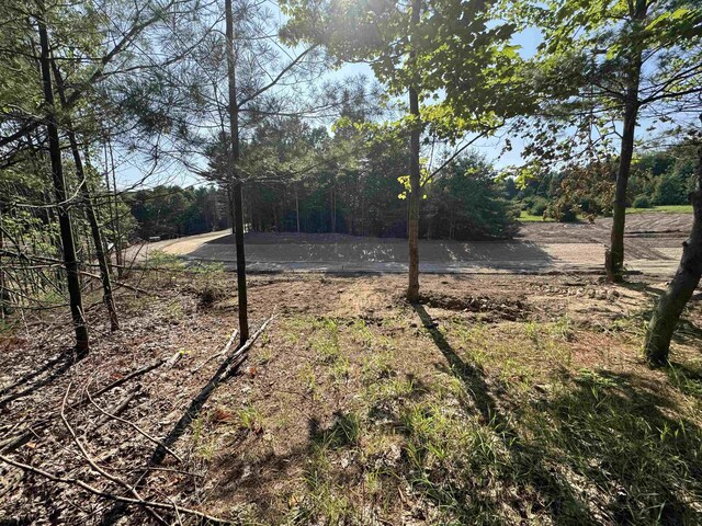 LOT6 E Bellinger Rd, Cedar, MI 49621 - photo 31