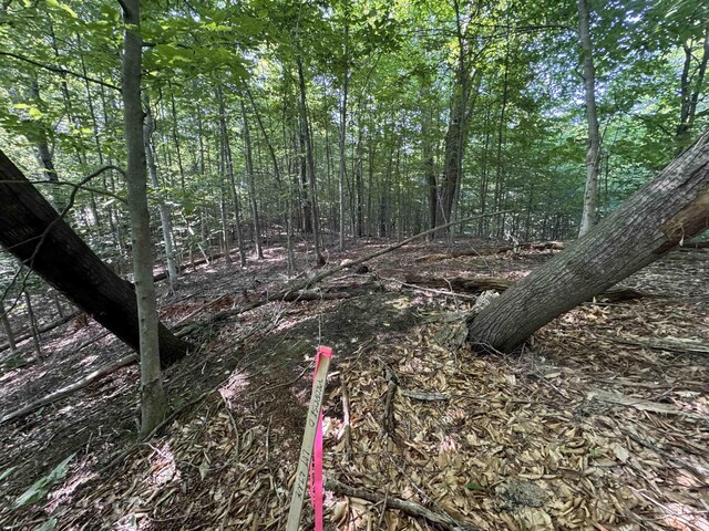 LOT6 E Bellinger Rd, Cedar, MI 49621 - photo 32