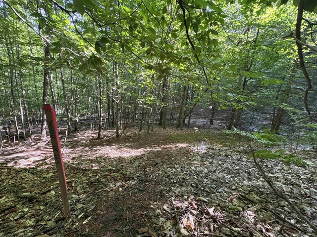 LOT6 E Bellinger Rd, Cedar, MI 49621 - photo 35