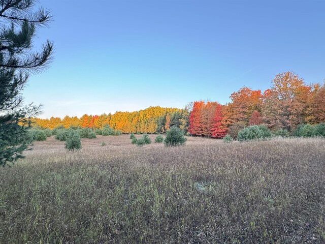 LOT6 E Bellinger Rd, Cedar, MI 49621 - photo 37