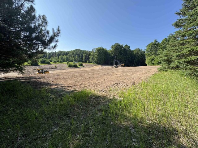 LOT6 E Bellinger Rd, Cedar, MI 49621 - photo 4