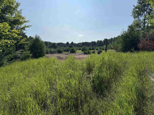 LOT6 E Bellinger Rd, Cedar, MI 49621 - photo 5