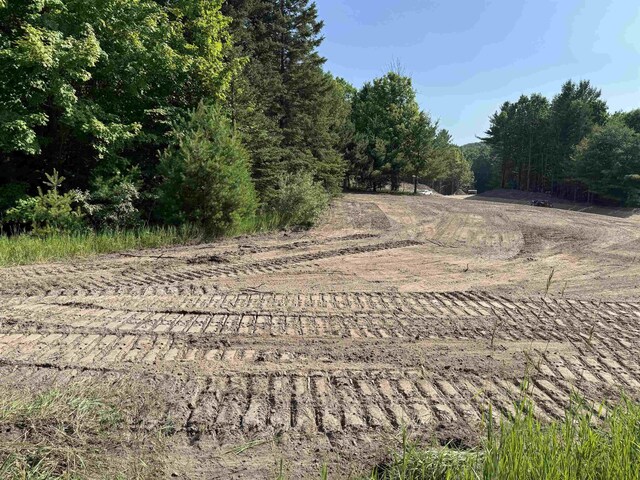 LOT6 E Bellinger Rd, Cedar, MI 49621 - photo 6