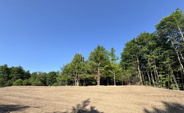 LOT6 E Bellinger Rd, Cedar, MI 49621 - photo 8