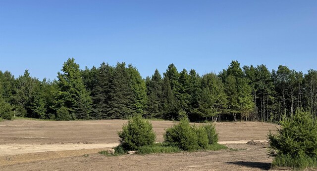 LOT6 E Bellinger Rd, Cedar, MI 49621 - photo 10