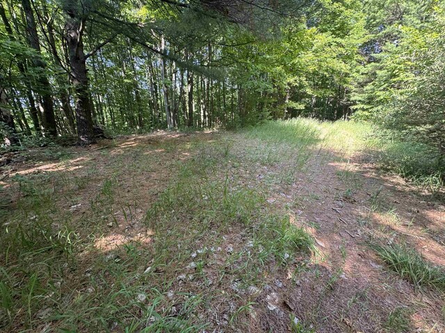 LOT6 E Bellinger Rd, Cedar, MI 49621 - photo 12