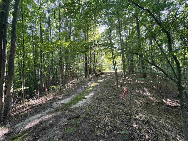 LOT6 E Bellinger Rd, Cedar, MI 49621 - photo 14