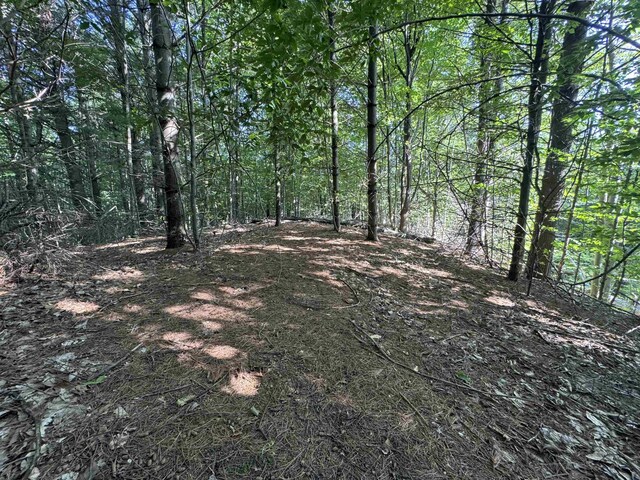 LOT6 E Bellinger Rd, Cedar, MI 49621 - photo 15