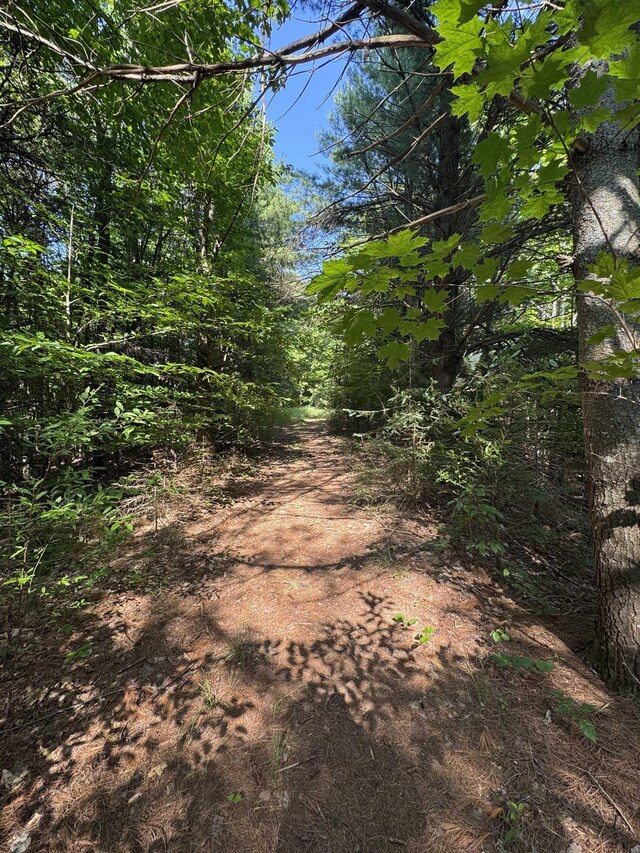 LOT6 E Bellinger Rd, Cedar, MI 49621 - photo 25