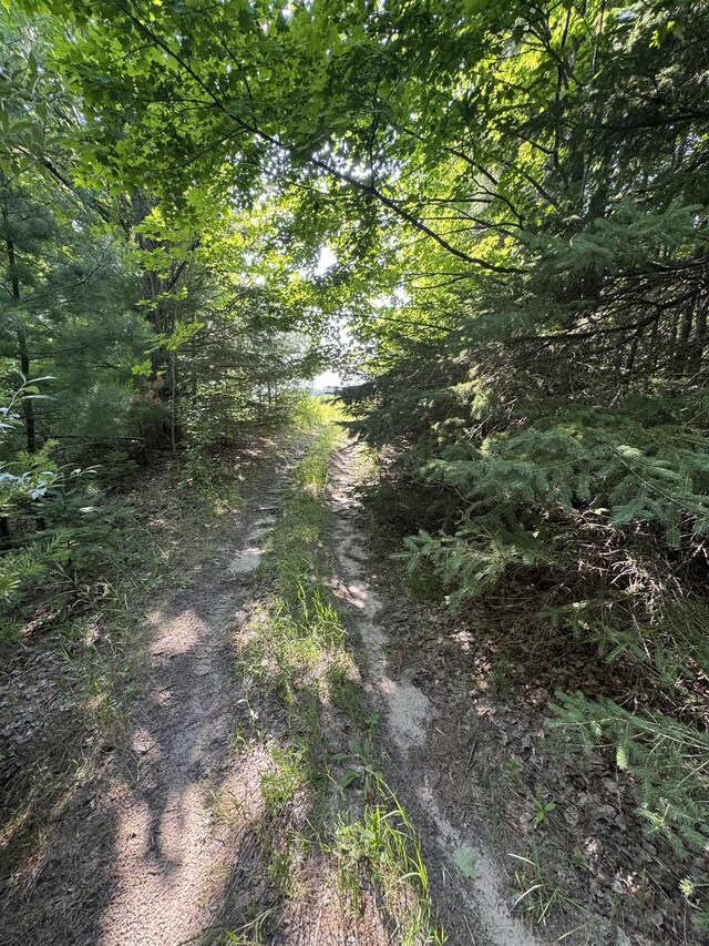 LOT6 E Bellinger Rd, Cedar, MI 49621 - photo 27