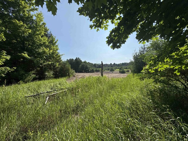 LOT6 E Bellinger Rd, Cedar, MI 49621 - photo 29