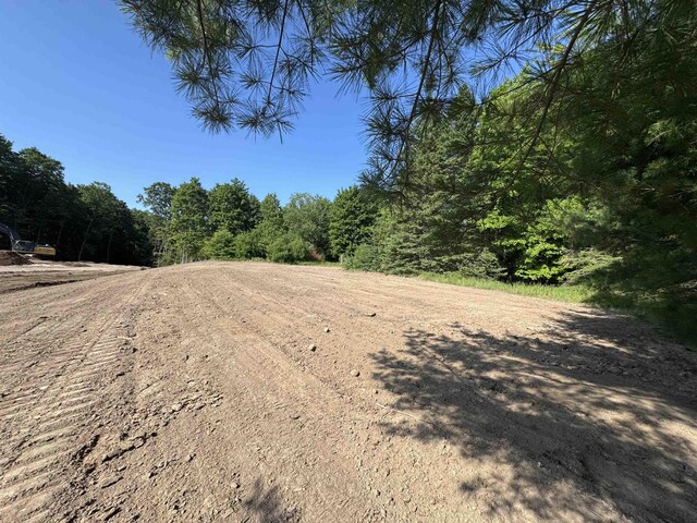 LOT6 E Bellinger Rd, Cedar, MI 49621 - photo 3