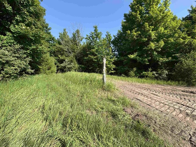 LOT6 E Bellinger Rd, Cedar, MI 49621 - photo 30