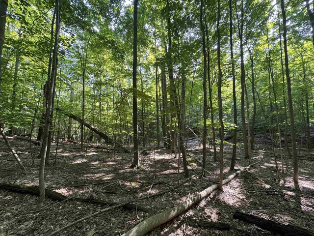 LOT6 E Bellinger Rd, Cedar, MI 49621 - photo 33