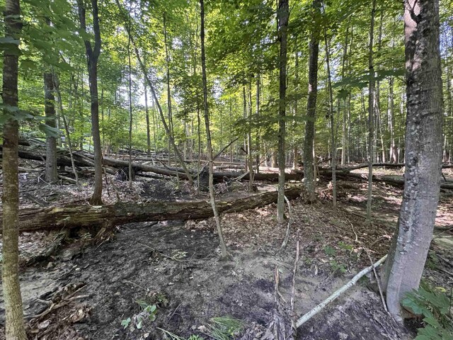 LOT6 E Bellinger Rd, Cedar, MI 49621 - photo 34