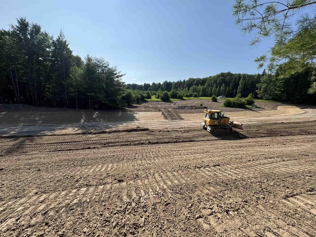 LOT6 E Bellinger Rd, Cedar, MI 49621 - photo 7