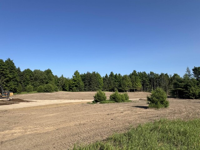 LOT6 E Bellinger Rd, Cedar, MI 49621 - photo 9