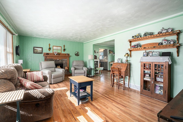 53266 US-131, Three Rivers, MI 49093 - living area with a fireplace and light wood-style floors