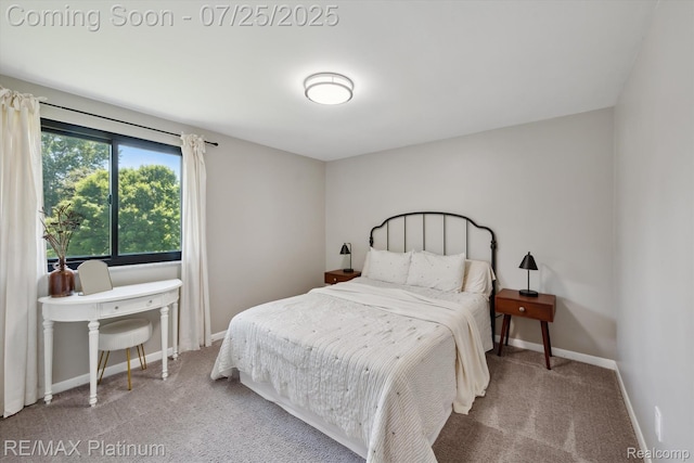 10579 Lee Ann Dr, Brighton, MI 48114 - photo 15
