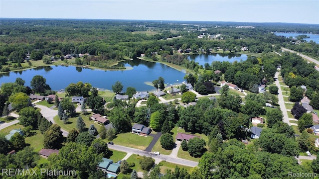 10579 Lee Ann Dr, Brighton, MI 48114 - photo 32