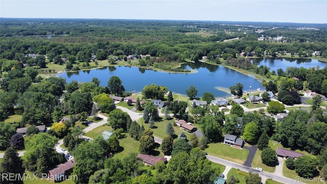 10579 Lee Ann Dr, Brighton, MI 48114 - photo 34