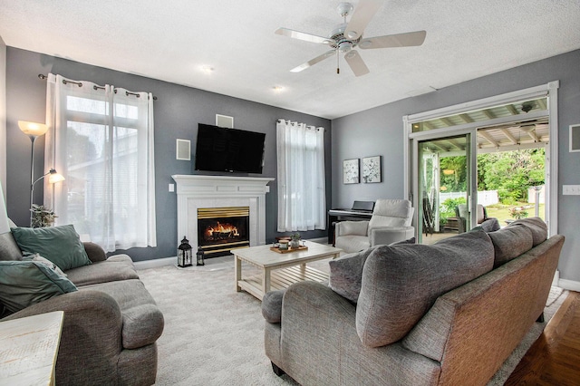 4202 Courtney St, Saint Joseph, MI 49085 - living area with healthy amount of natural light, a ceiling fan, a glass covered fireplace, and carpet flooring