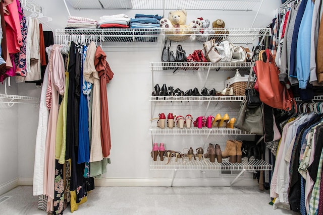 4202 Courtney St, Saint Joseph, MI 49085 - view of walk in closet