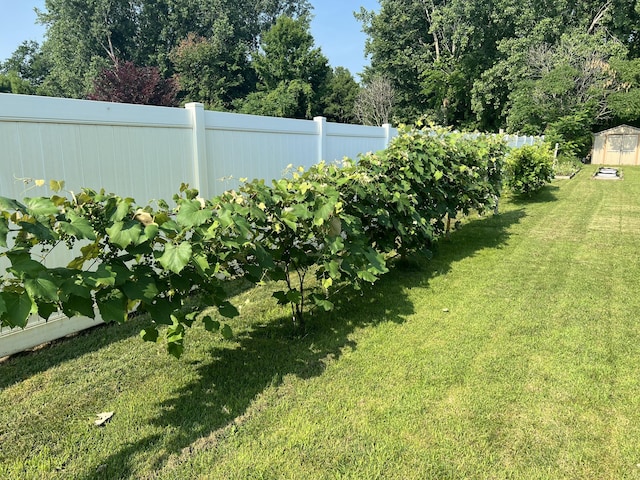4202 Courtney St, Saint Joseph, MI 49085 - view of yard