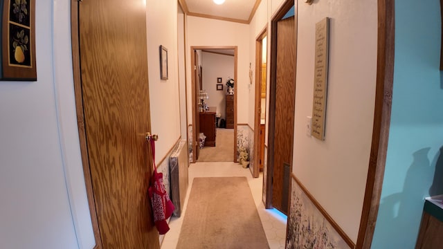 1410 Country View Ct NW, Sparta, MI 49345 - hallway with light carpet and ornamental molding