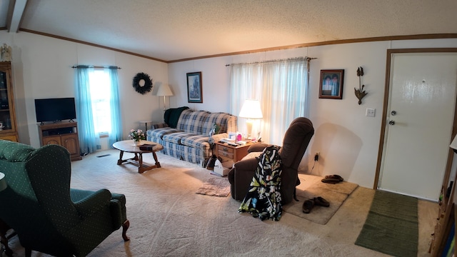 1410 Country View Ct NW, Sparta, MI 49345 - living room with carpet, crown molding, and a textured ceiling